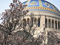 -圣母无玷始胎国家朝圣地圣殿