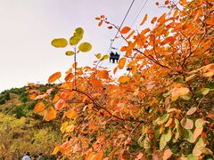 -香山公园