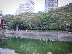 -千岛湖城中湖游船码头