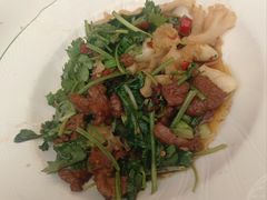 香菜摔打鲜牛肉-桂满陇·蟹黄小笼汤包(中山公园店)