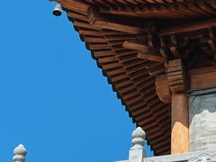 -西安大兴善寺