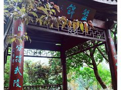 -重庆彩云湖湿地公园
