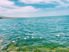 -青海湖国家重点风景名胜区