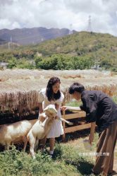 -花漾摄影优选工作室(东莞原创作品店)