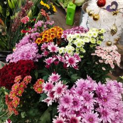 -摩睫+皮肤管理·科学美容中心