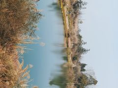 -桤木河湿地公园