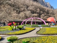 -云台山风景名胜区