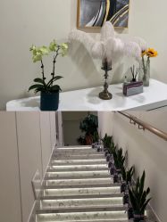 -海涛医疗美容·面部抗衰·注射美鼻