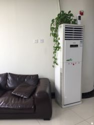点击看大图 -赵大夫减肥
