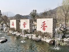 -香雪海