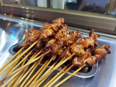 -民族烤羊·烤羊肉串·烤羊排(南城店)
