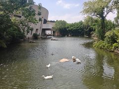 -新江湾城公园