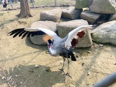 -苏州上方山国家森林公园