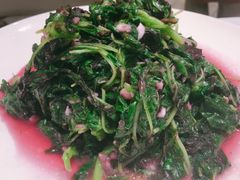 -新吉士·上海菜(浦东LCM置汇旭辉店)