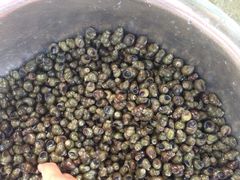 iphone_upload_pic-小陆莲花蟹园农家乐(莲花岛店)
