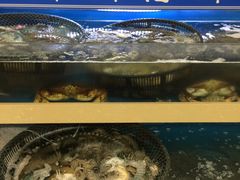 -新玛特购物广场(齐齐哈尔店)
