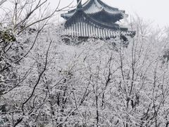 -杭州半山国家森林公园