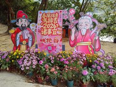 -南国桃园旅游度假区