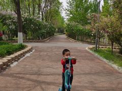 -大兴滨河森林公园