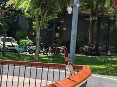 -四海公园(南山区)