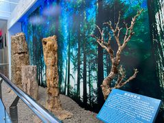 -延庆地质公园博物馆