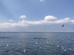 -大理洱海