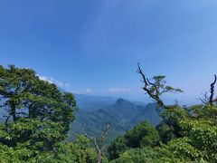-青城山