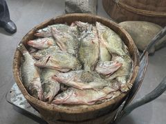 -水香园·中国徽菜名店(紫霞大道店)