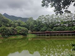 -清水湖度假村(罗浮山美食地标店)