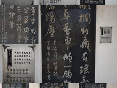 -洛阳市隋唐城遗址植物园