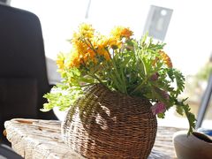 -翠田Green Field Kitchen