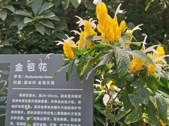 -北京植物园-展览温室