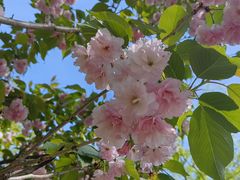 -长白岛森林公园