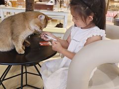 -藏猫猫咖啡主题馆(中央大道店)