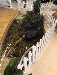 -安徽合肥韩美整形外科医院