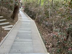 -上海佘山国家森林公园西佘山园