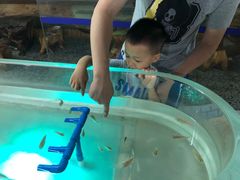 -上海大自然野生昆虫馆(东方明珠·爬宠昆虫探索中心)