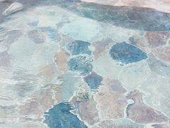 -中家鑫园温泉酒店鑫悦汤泉