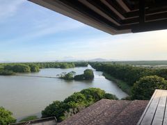 -大湾区中央湿地公园
