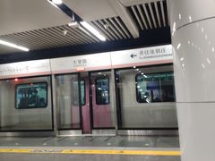 -大望路(地铁站)