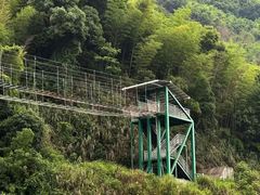 -长沙黑麋峰国家森林公园