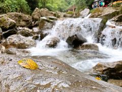 -青城山