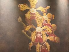 -珍宝海鲜JUMBO Seafood(尚嘉店)