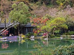 -云溪植物园