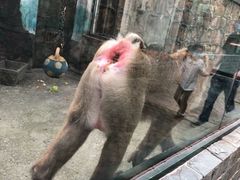 -无锡动物园·太湖欢乐园