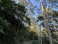 -广州市白云山风景名胜区