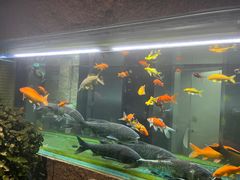 -又见炊烟私房菜(敬亭路店)