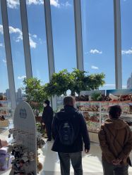 点击看大图 -IMON·HANSA潮玩玩偶毛绒玩具(通州万象汇店)