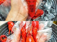 冰镇龙虾-怪怪龙虾·澳洲蓝龙王·深夜食堂(惊驾路店)