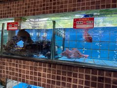 -鸿鑫海鲜楼(福辉店)
